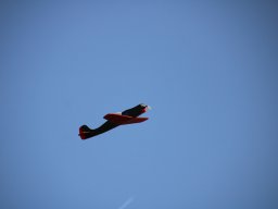 fliegen0903 42